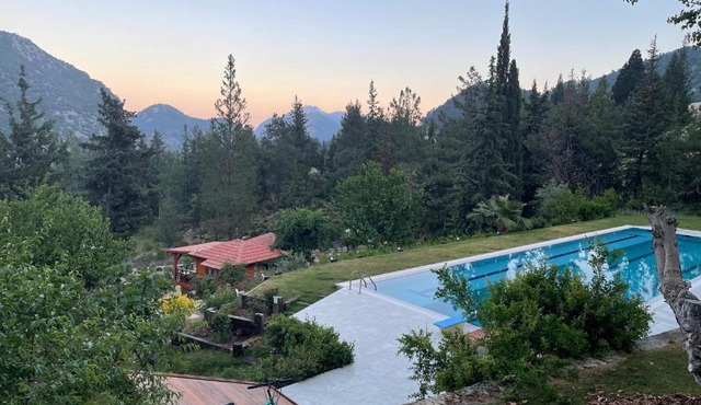 Trinitys Forest Bungalows in Kemer