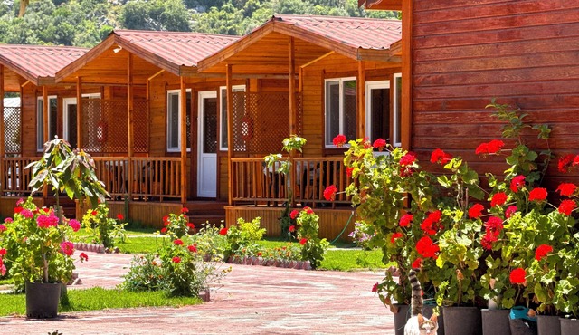 Venüs Gold Bungalov