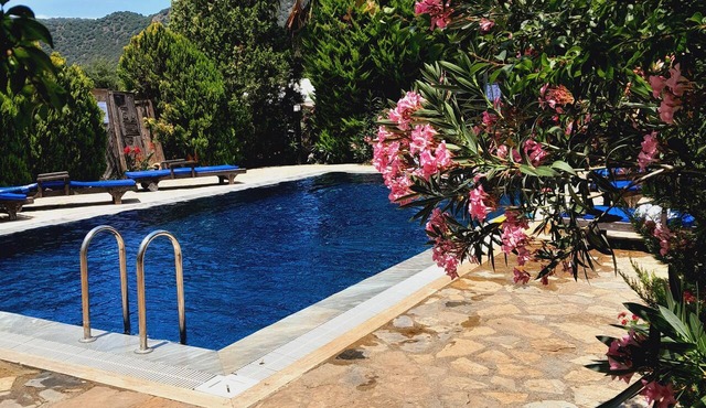 Villa Suzan charming stony 3 bedroom cottage in Fethiye area with private pool in Kayaköy