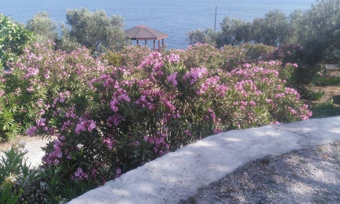 Ayvacik Resort | 22 m² Private room ∙ 1 bedroom ∙ 2 guests