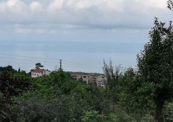 Trabzon House | Taş ev