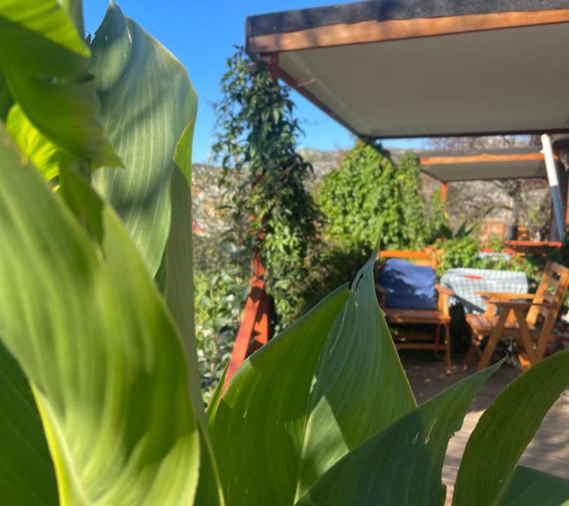 Avlana House | Söğüt Taşlıca Erol Köy Evi