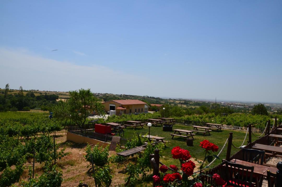 Kirklareli Hotel | Dessera Vineyards Hotel