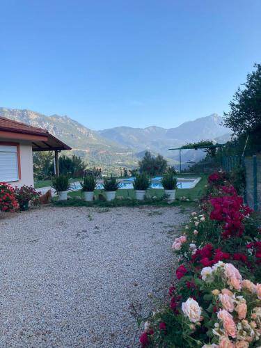 Photo of Others in Olympos