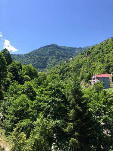 Photo of Outdoor in Caykara