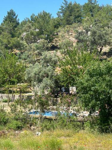 Photo of Outdoor in Ortaca