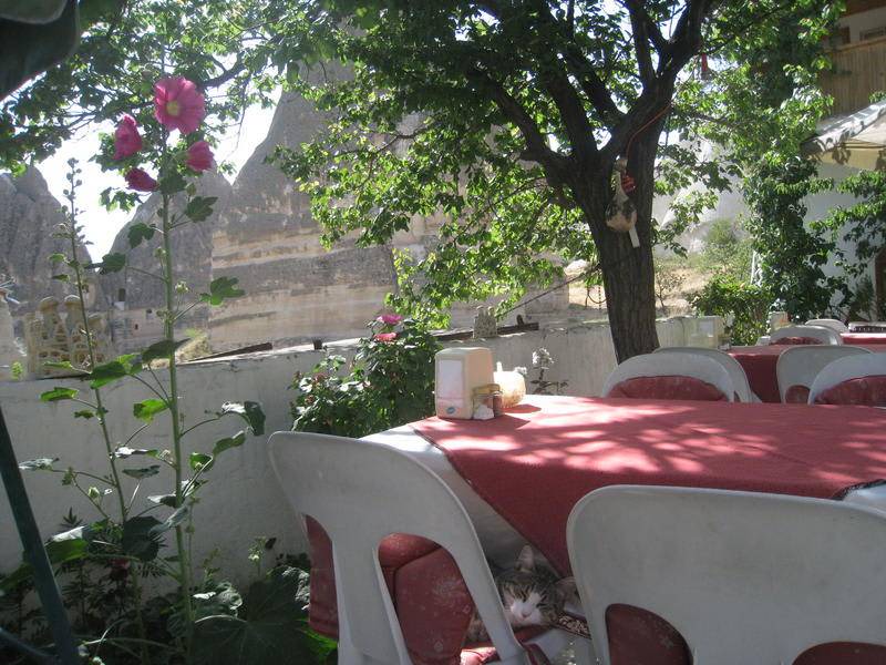 Photo of Others in Goreme