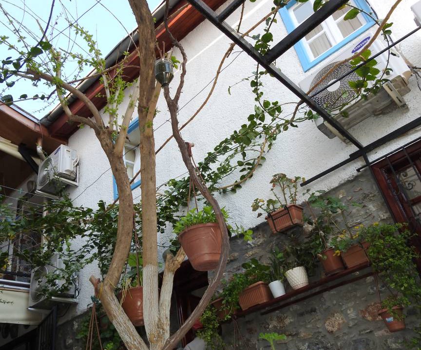 Photo of Others in Selcuk