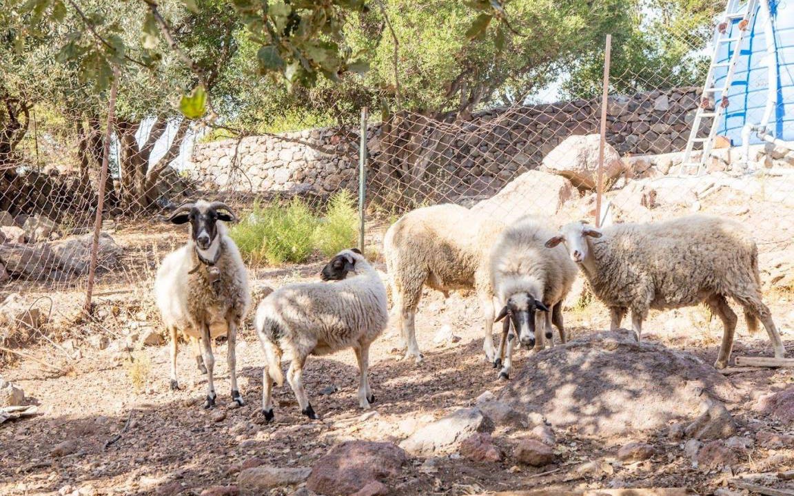 Photo of Others in Ayvacik