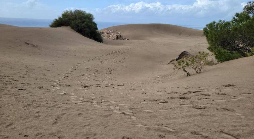 Photo of Others in Patara