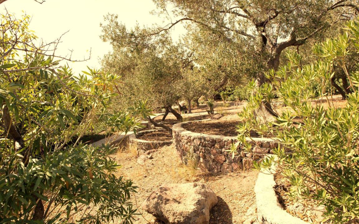Photo of Others in Ayvacik