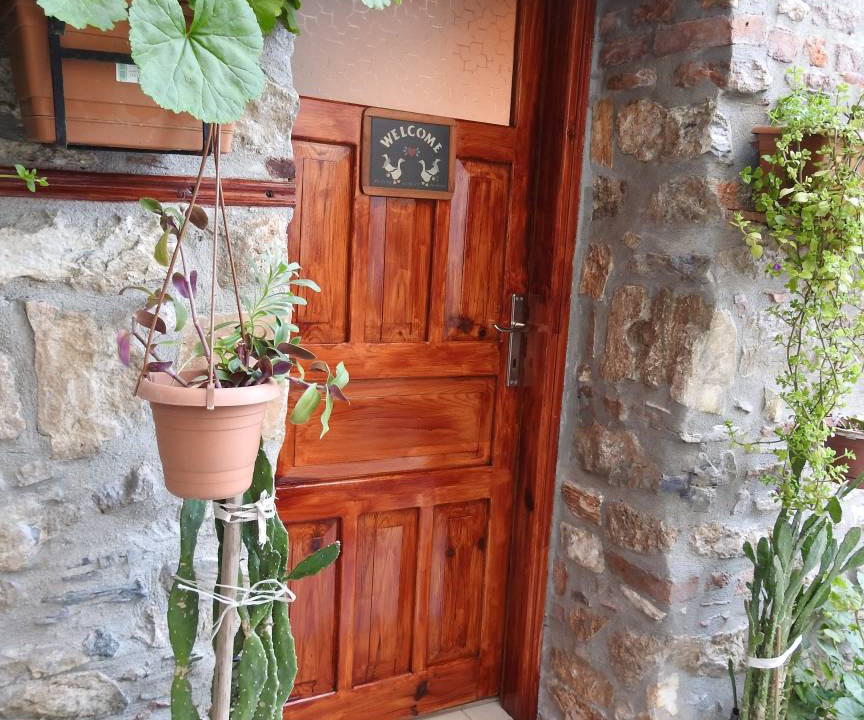Photo of Others in Selcuk
