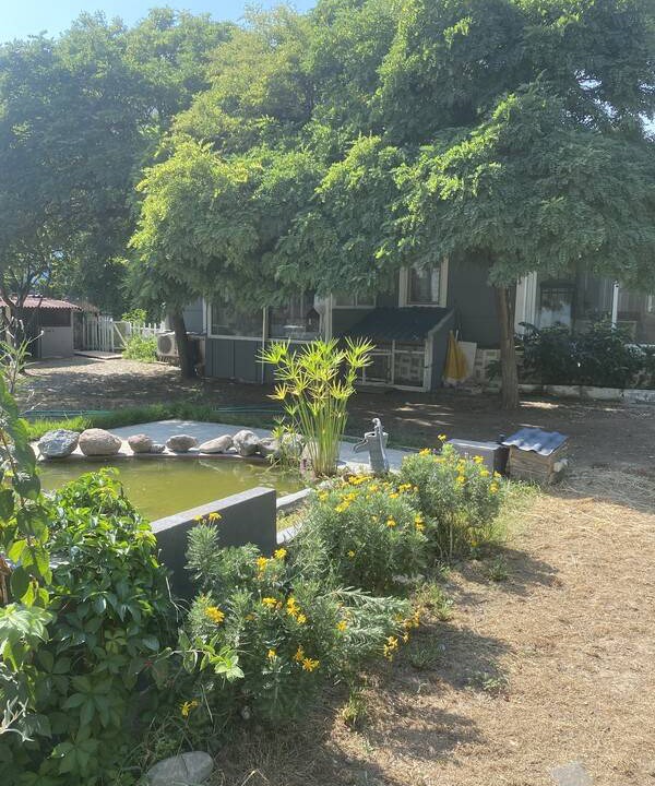 Photo of Others in Aliaga
