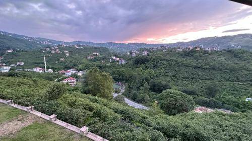 Photo of Others in Trabzon