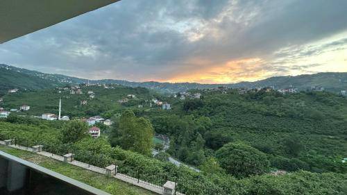 Photo of Others in Trabzon