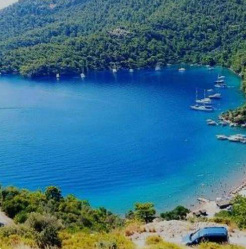 Photo of Others in Dalaman