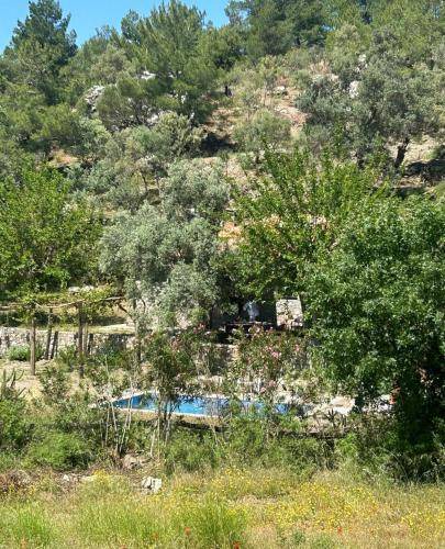 Photo of Outdoor in Ortaca
