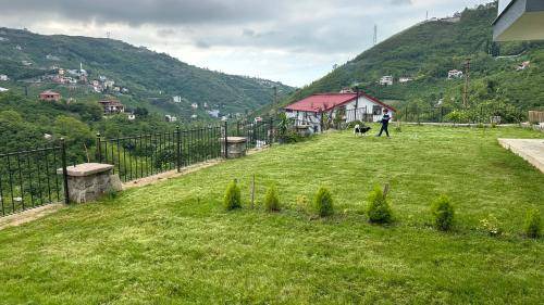 Photo of Others in Trabzon