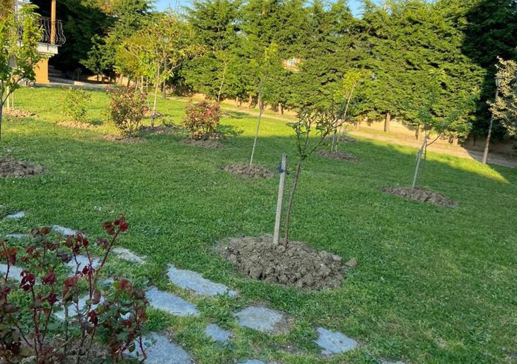 Photo of Outdoor in Buyukcekmece