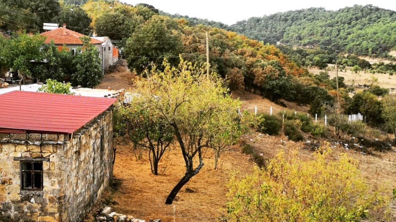 Photo of Others in Ayvacik
