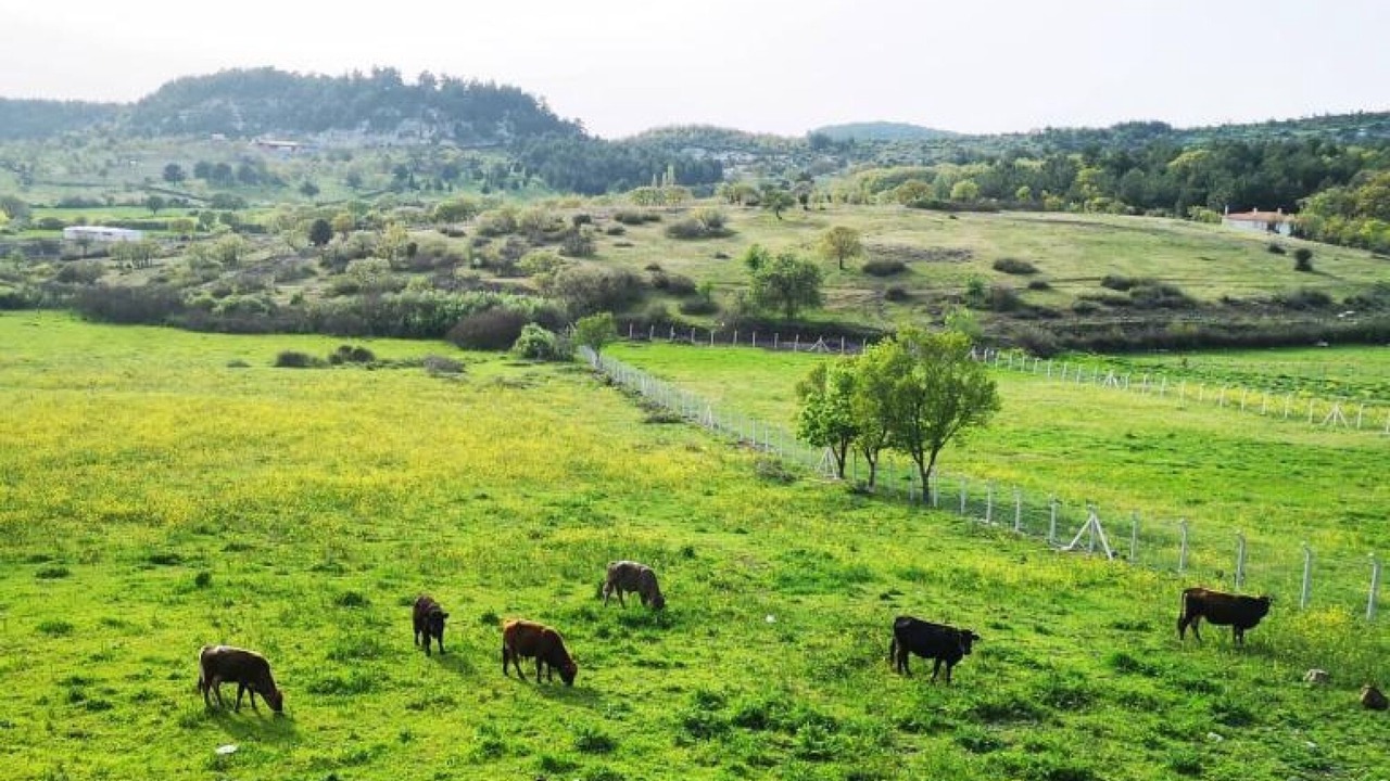 Photo of Outdoor in Ayvacik