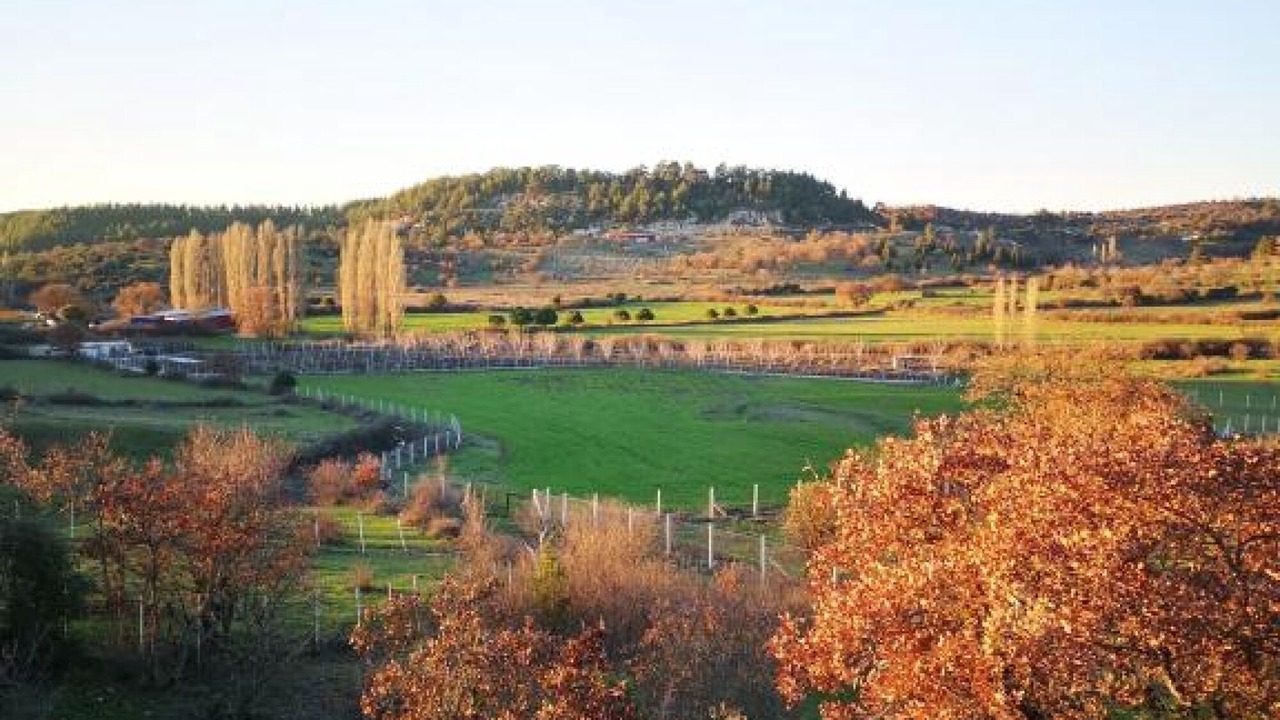Photo of Outdoor in Ayvacik