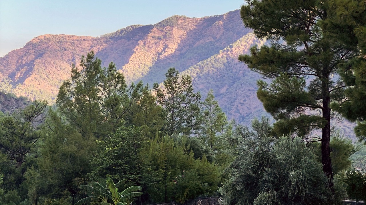 Photo of Outdoor in Dalaman