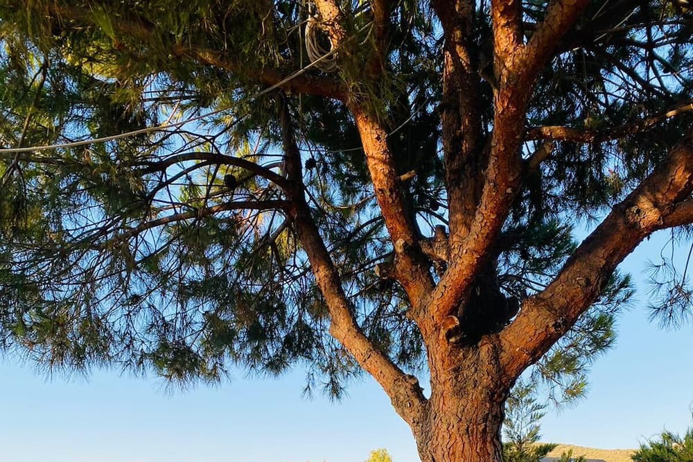 Photo of Outdoor in Bademli