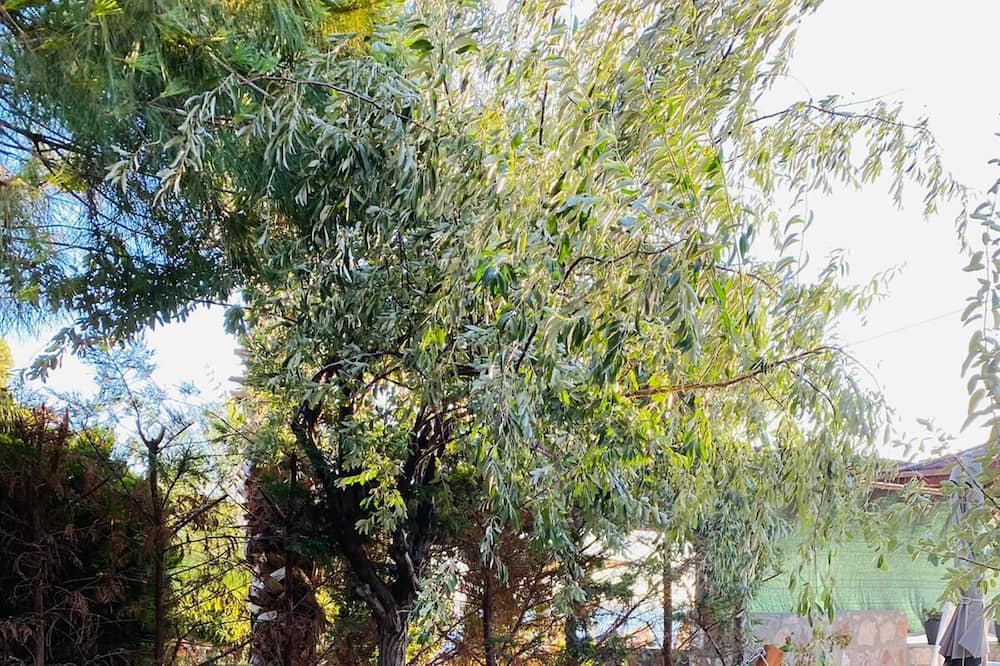 Photo of Outdoor in Bademli