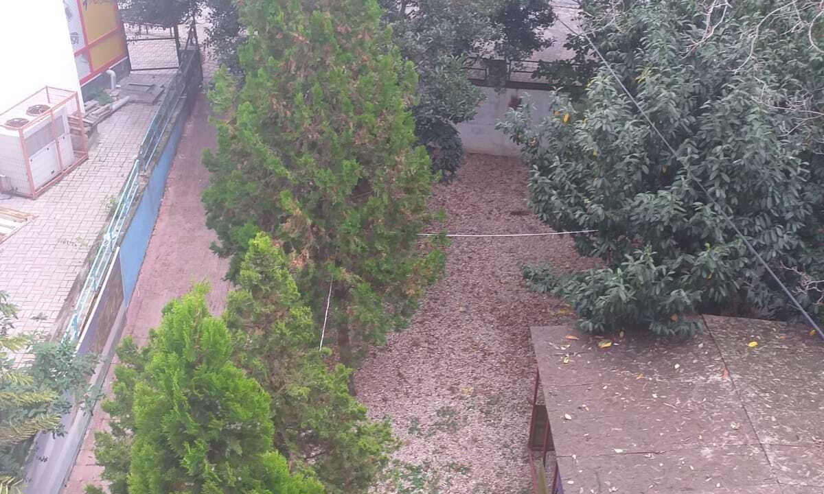 Photo of Others in Gonen