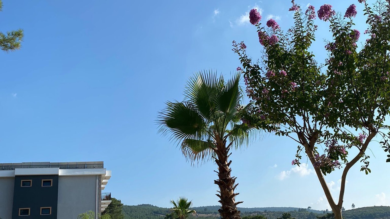 Photo of Outdoor in Ayvacik