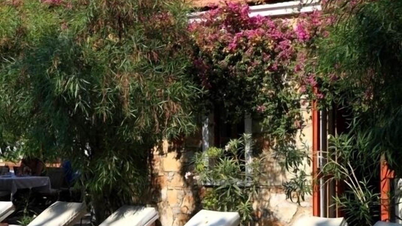 Photo of Outdoor in Bitez