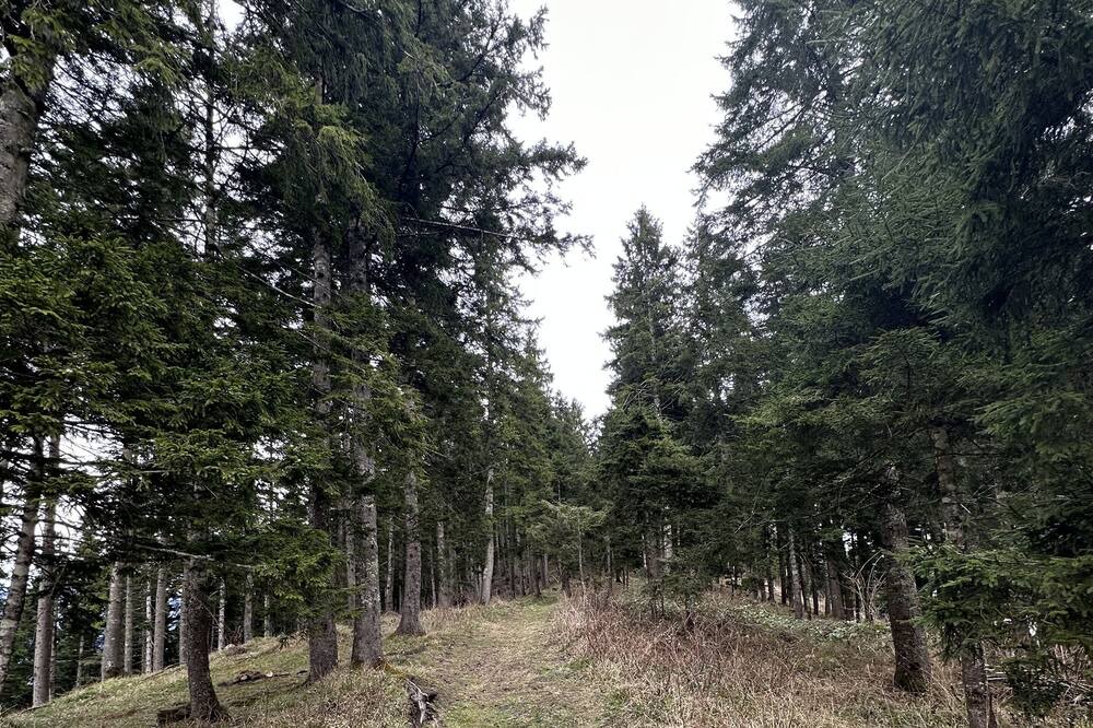 Photo of Outdoor in Macka