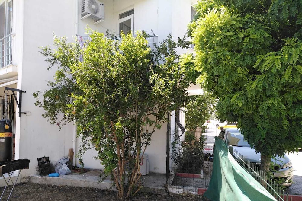 Photo of Outdoor in Lara