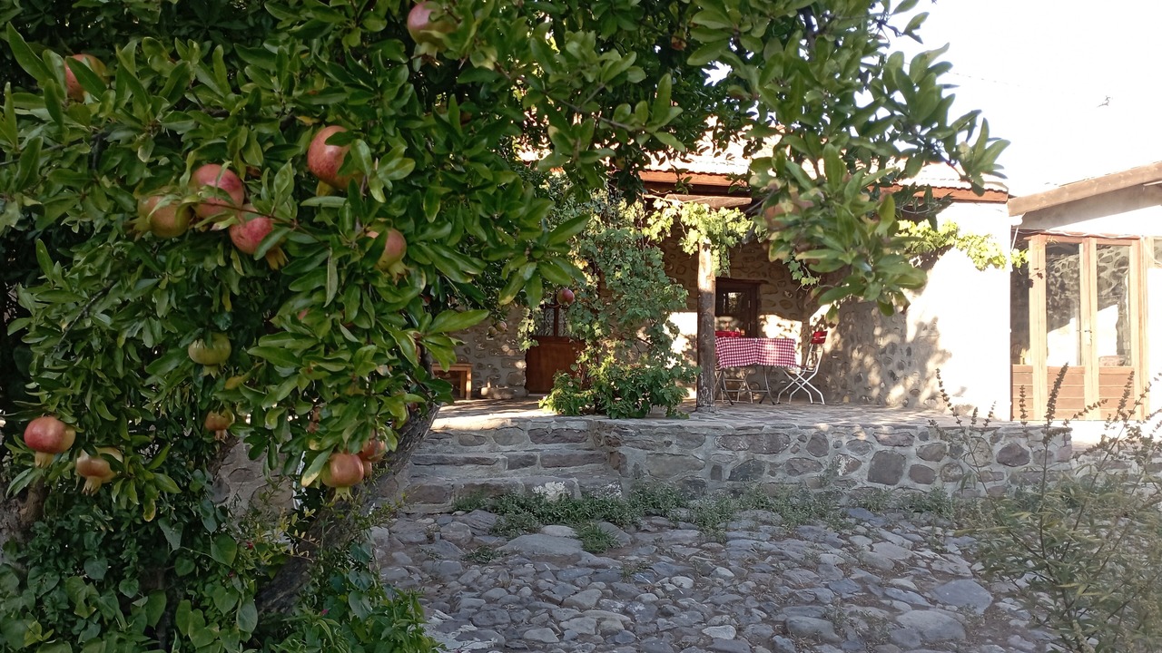 Photo of Outdoor in Bergama