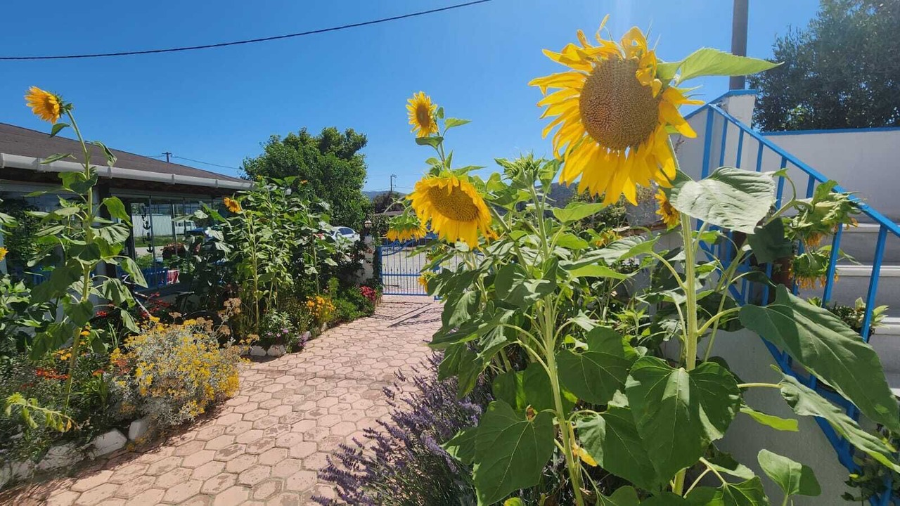 Photo of Outdoor in Yenibademli