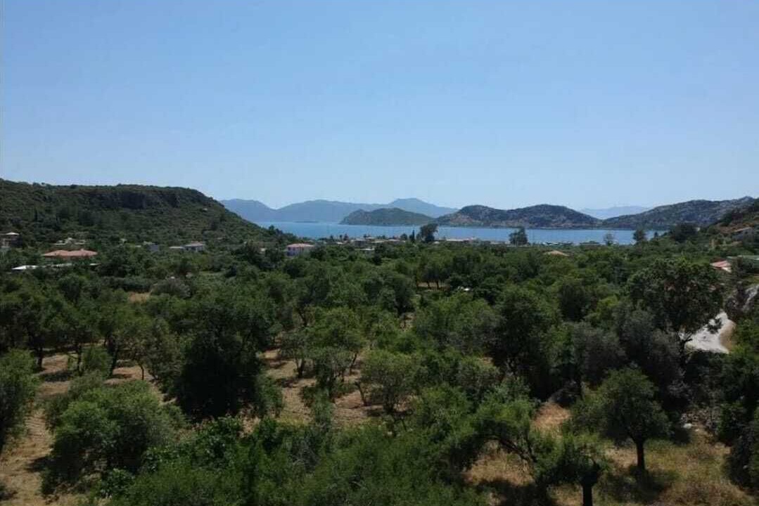 Photo of Outdoor in Sogut