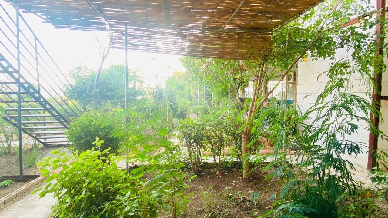 Photo of Outdoor in Sogut