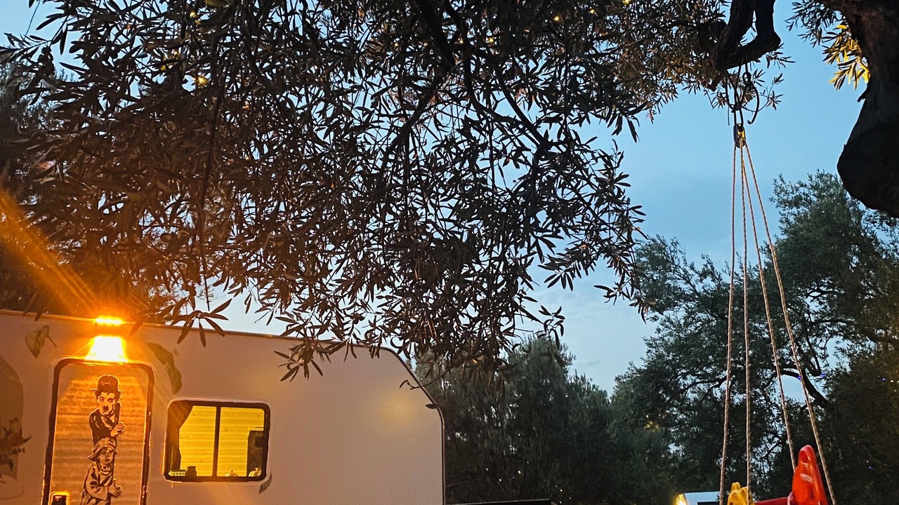 Photo of Outdoor in Dikili