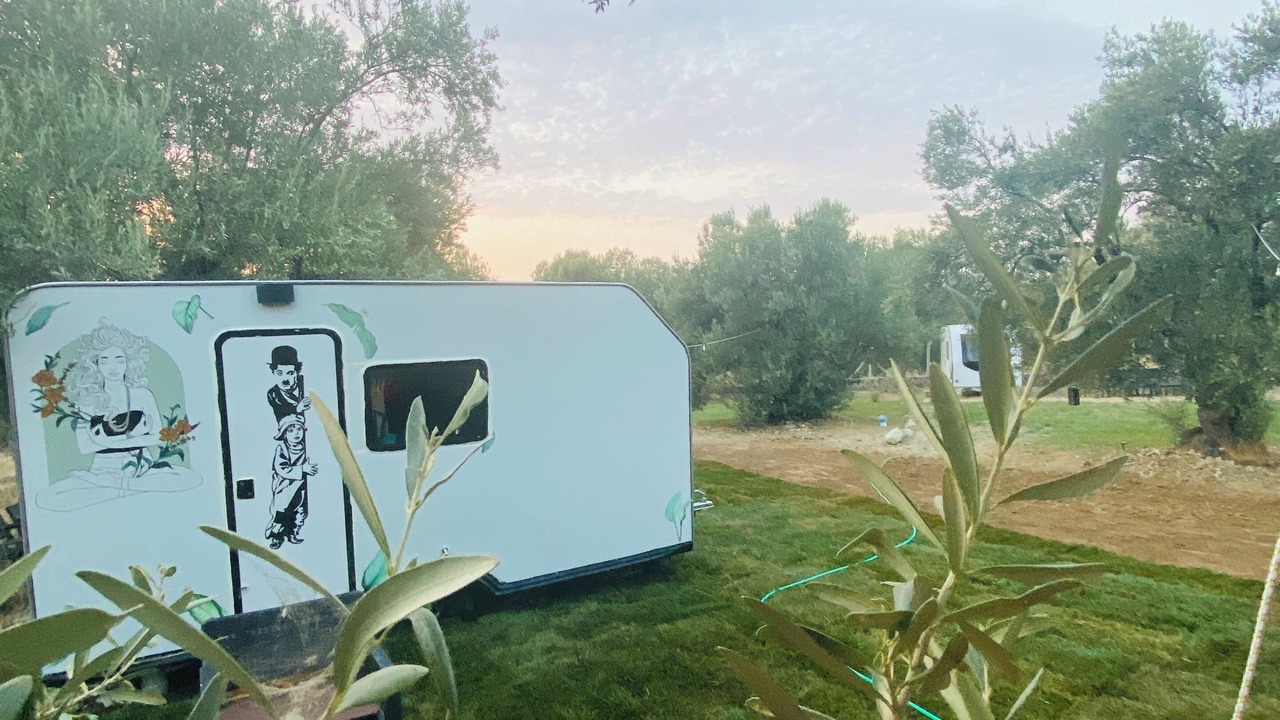 Photo of Outdoor in Dikili