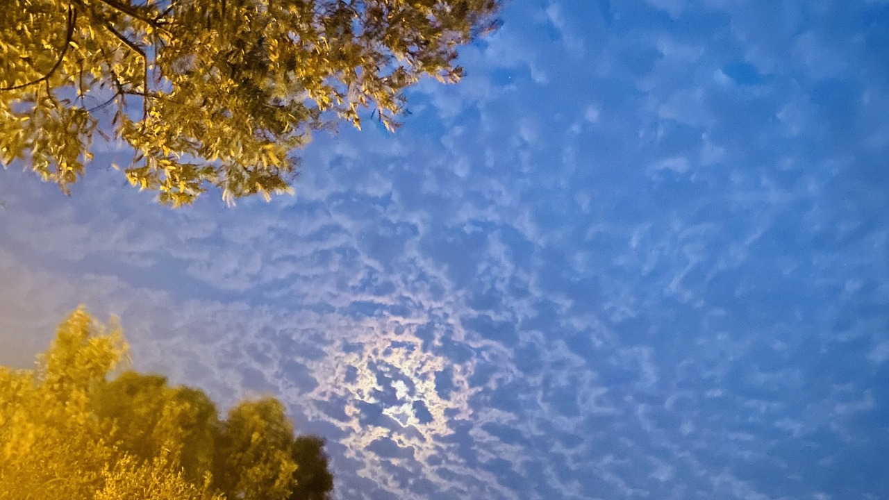 Photo of Outdoor in Bademli