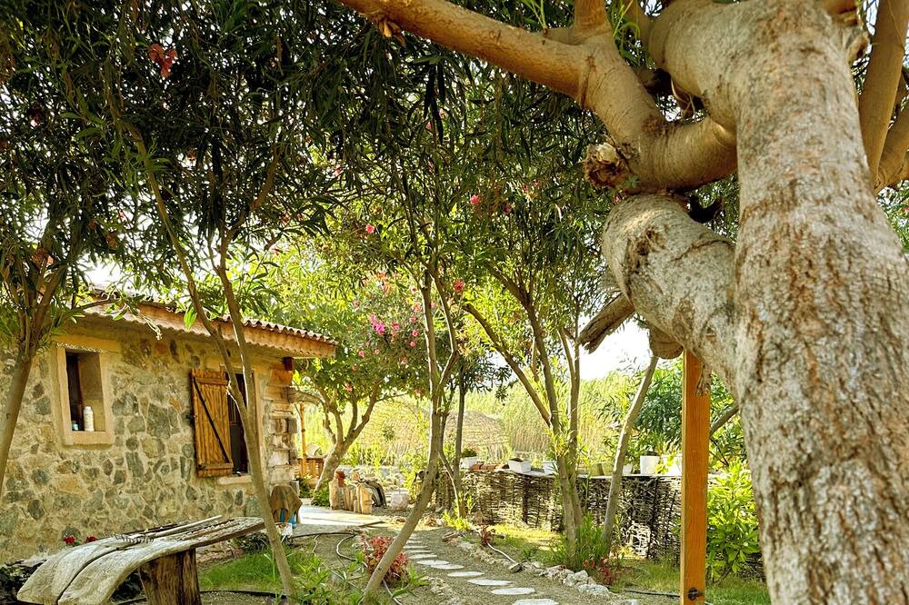 Photo of Outdoor in Ortaca