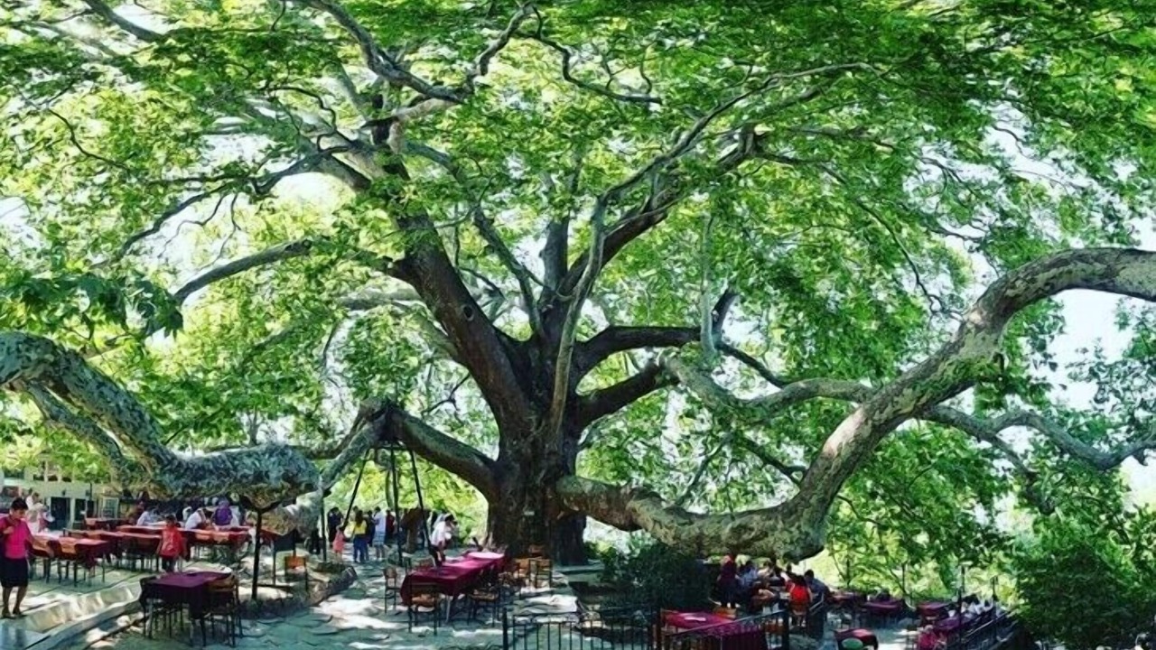 Photo of Outdoor in Osmangazi