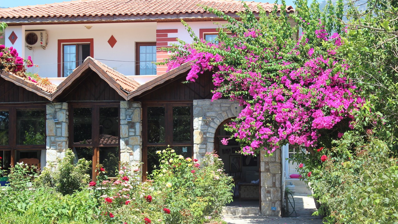 Photo of Outdoor in Ovabuku