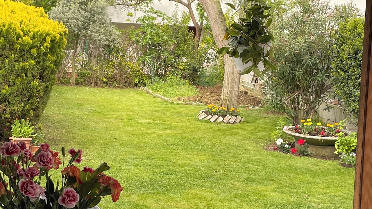 Photo of Outdoor in Silivri