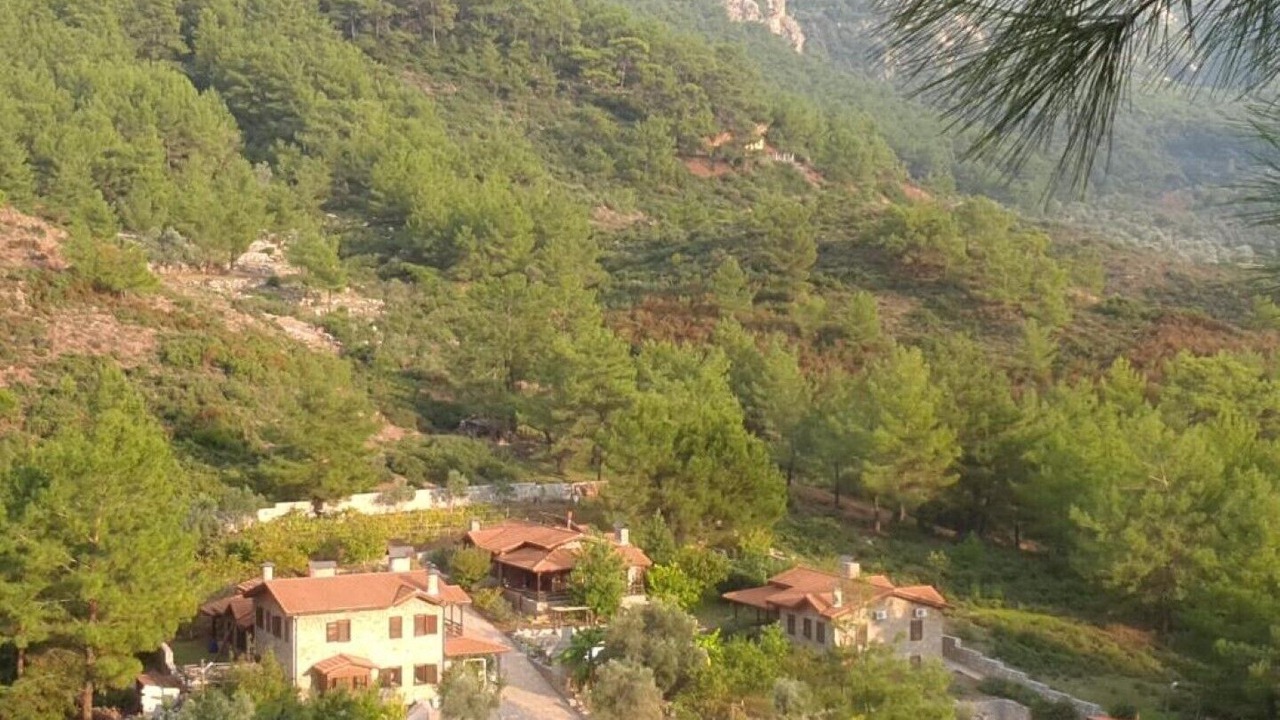 Photo of Outdoor in Avlana