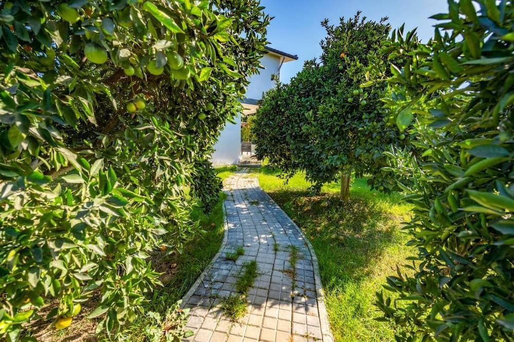 Photo of Outdoor in Yaniklar