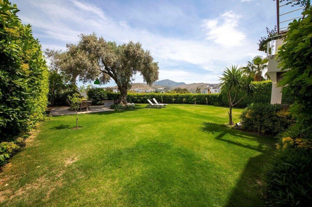 Photo of Outdoor in Golturkbuku
