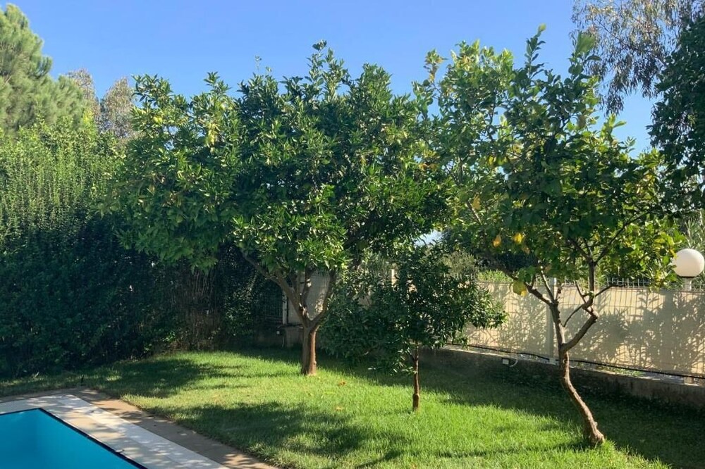 Photo of Outdoor in Kadriye