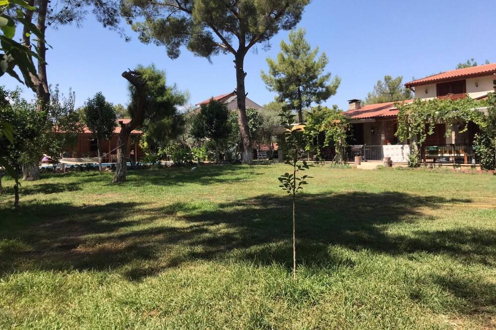 Photo of Others in Duaci